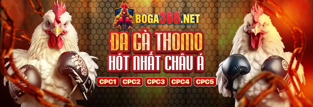 Hình ảnh đại diện cho Điều khoản và Điều kiện của trang casino uy tín